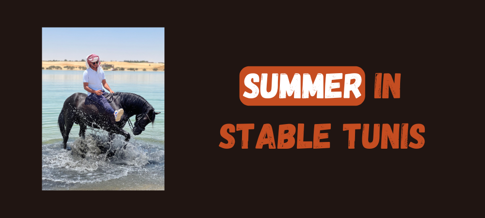 Read more about the article Summer vibes in Stable Tunis !