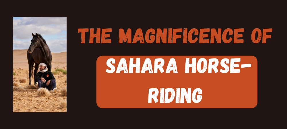 Read more about the article The magnificence of Sahara horse-riding