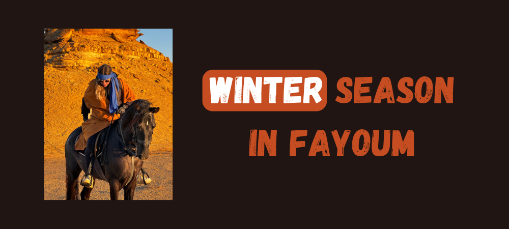 Read more about the article Winter season in Fayoum