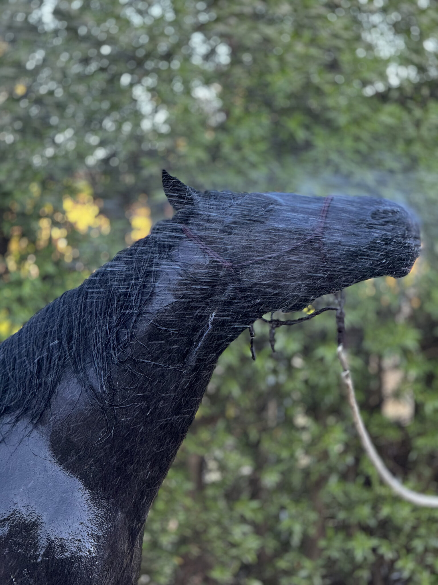 Summer vibes in the Stable