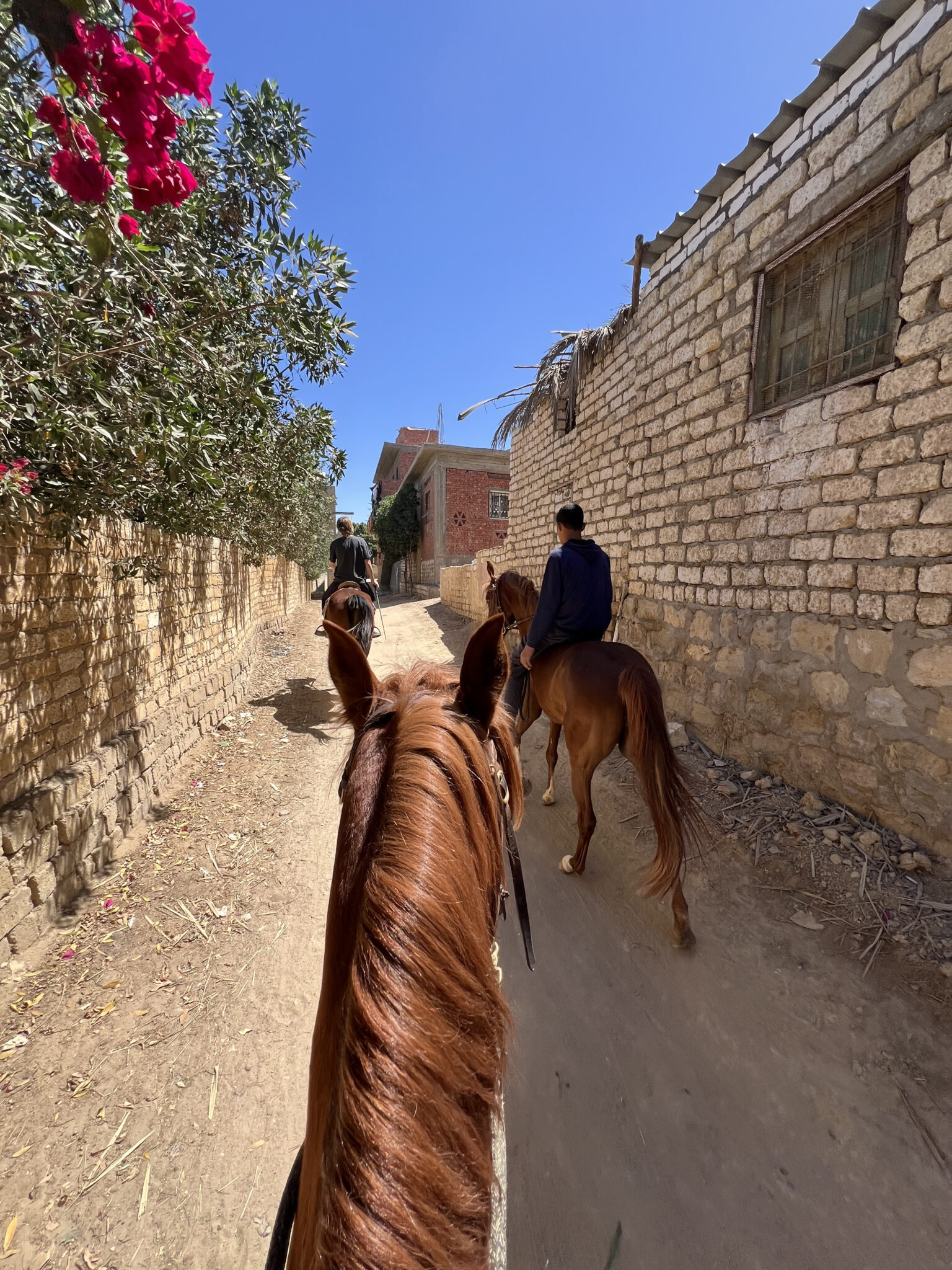 ABOUT OUR TUNIS VILLAGE, EL FAYOUM, EGYPT